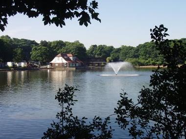 Taylor Park Fountain