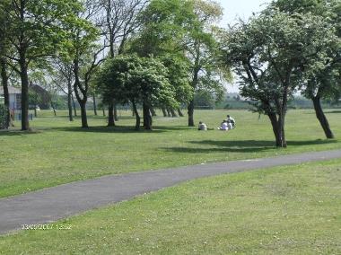 Gaskell park field