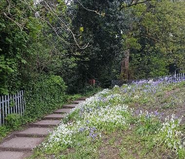 Willow Park walk