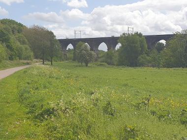 Sankey Valley bridge pic