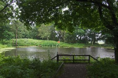 Sidings Lane Pond