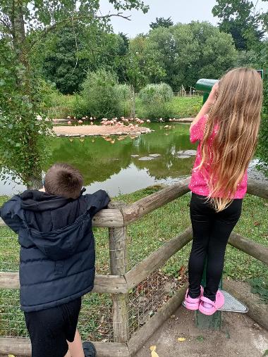 Families enjoying a daytrip to Blackpool Zoo