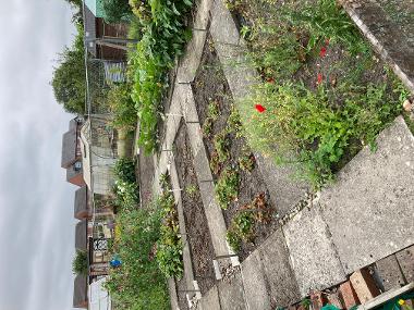 Allotment