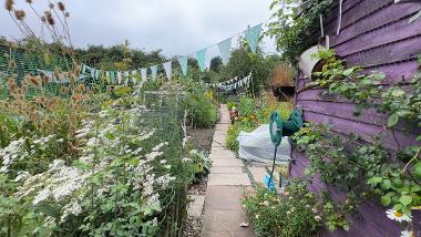 Allotment